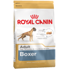Boxer Royal Canin